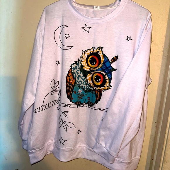 PIXIE LADY L/S Pullover Shirt Size 1X, EUC!! - Picture 1 of 3